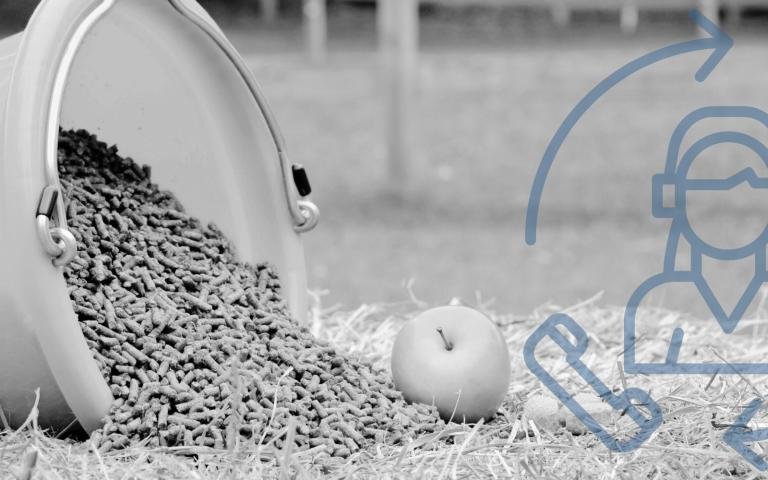 Horse Feed & tractor supply store