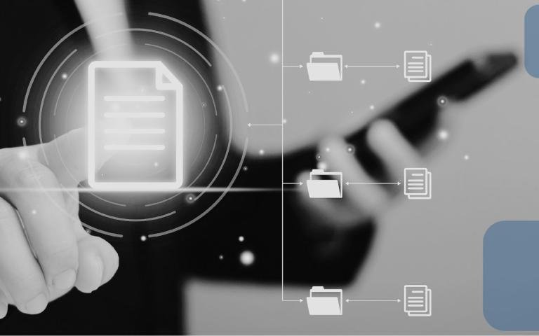 What is DMS (Document Management System)