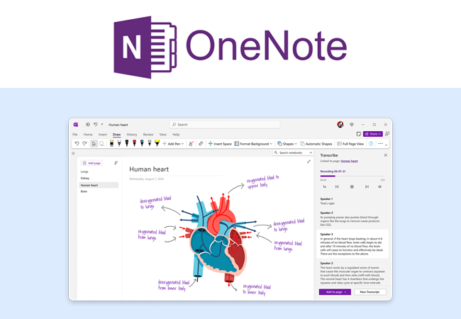 Microsoft OneNote note example
